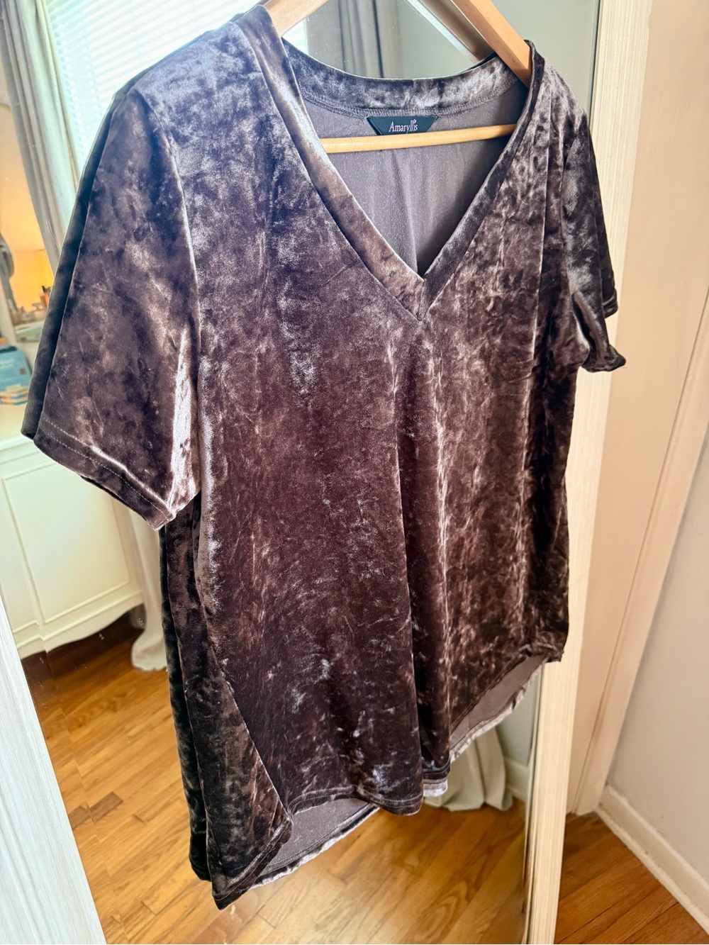 Women’s Amaryllis Chocolate Brown Crushed Velvet V Neck Short Sleeve Top